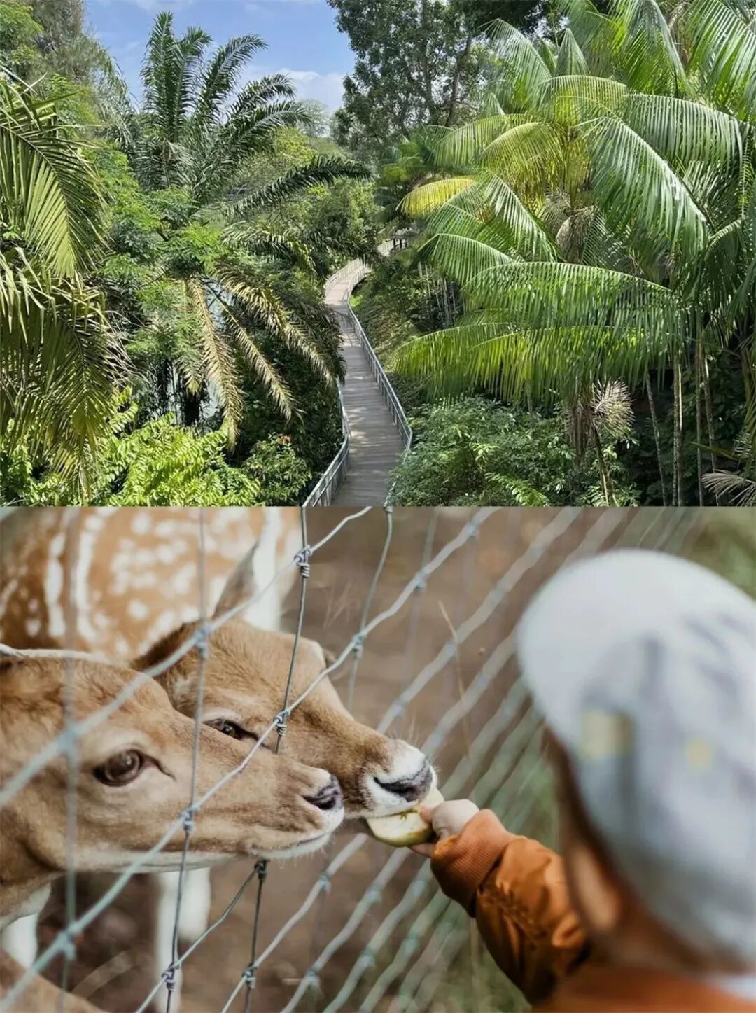 新加坡自由行攻略，看这篇就够了（良心推荐）