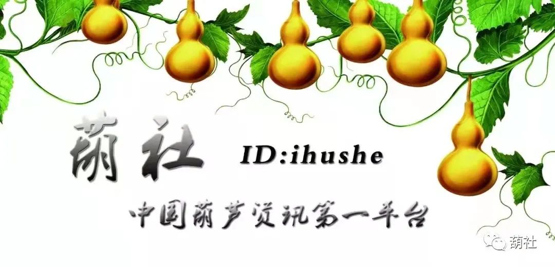 葫芦种植时间和方法 ​栽种葫芦选种、花土环境选择及日常养护