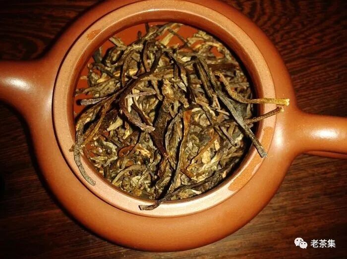 老茶档案：勐海茶厂2000年班章橡筋青饼（大白菜系列）