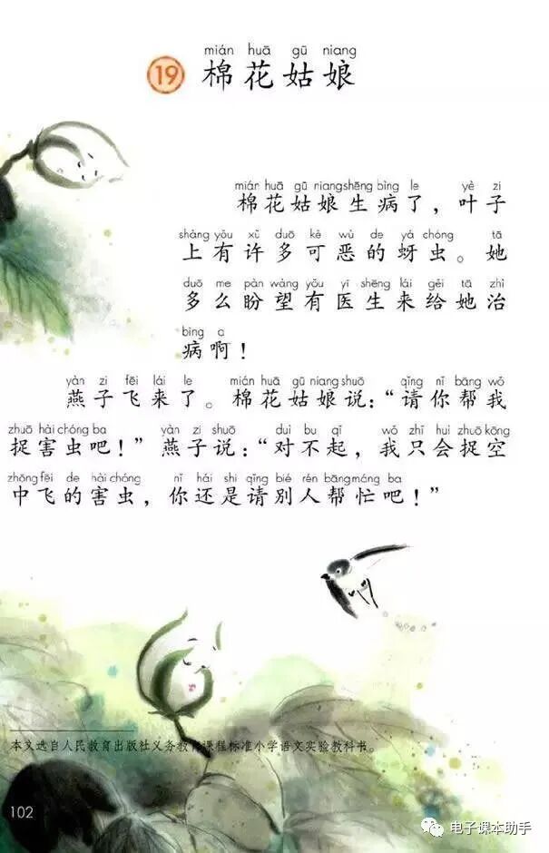 一年级语文下册：《19.棉花姑娘》朗读课文，视频详细讲解课文，电子课本，教学设计，生字拼音组词，词语