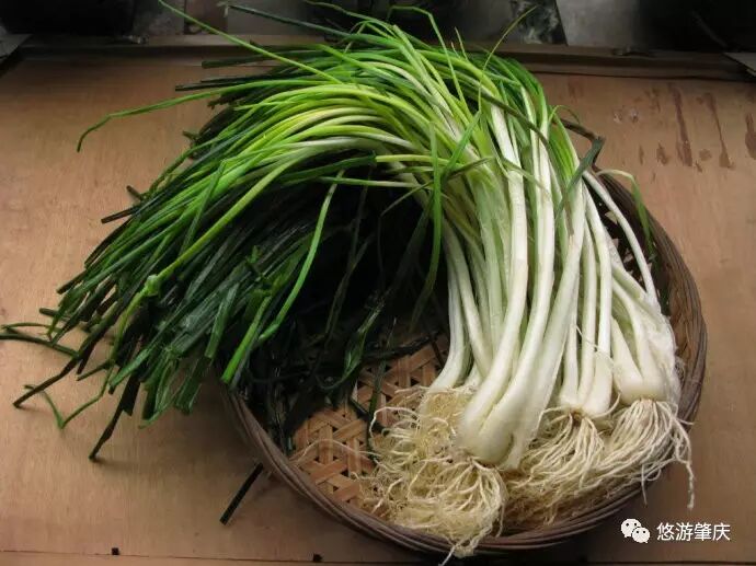 荞菜 荞绿部分只有顶部,荞白多