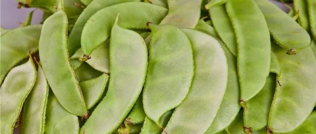 这种蔬菜营养胜牛奶，吃一斤等于10个鸡蛋，不吃的人亏大啦！