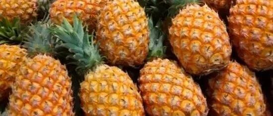 夏季吃菠萝养胃又瘦身,狂甩10斤肉！