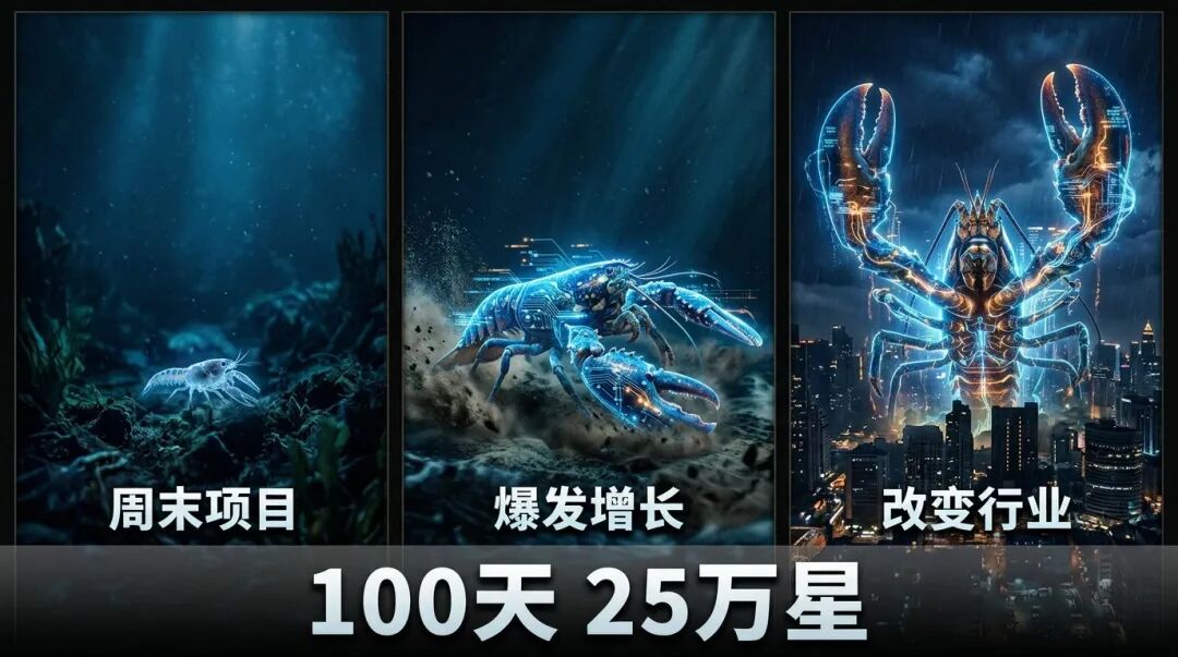 100天 25万星