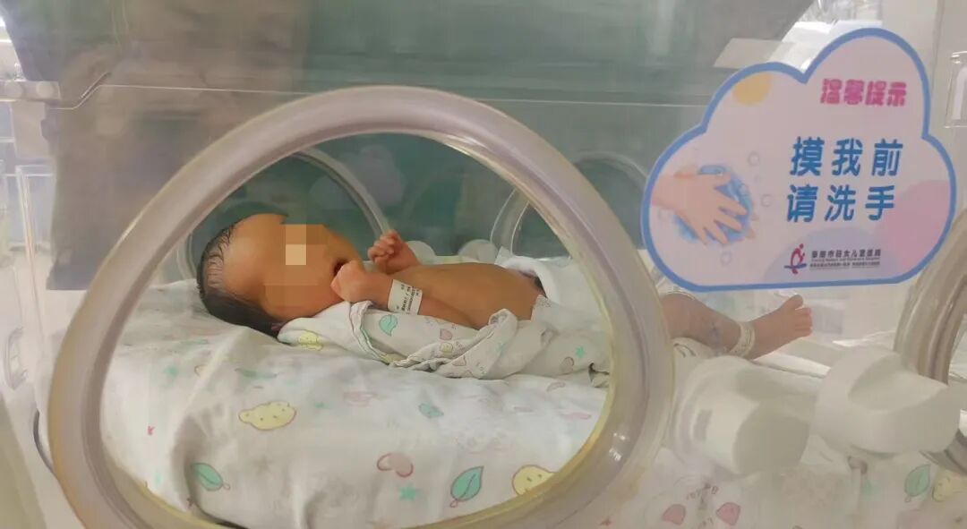 袋鼠式护理：给宝宝满满的爱与安全感