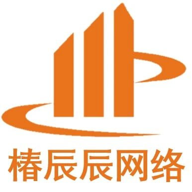 椿辰辰网络服务