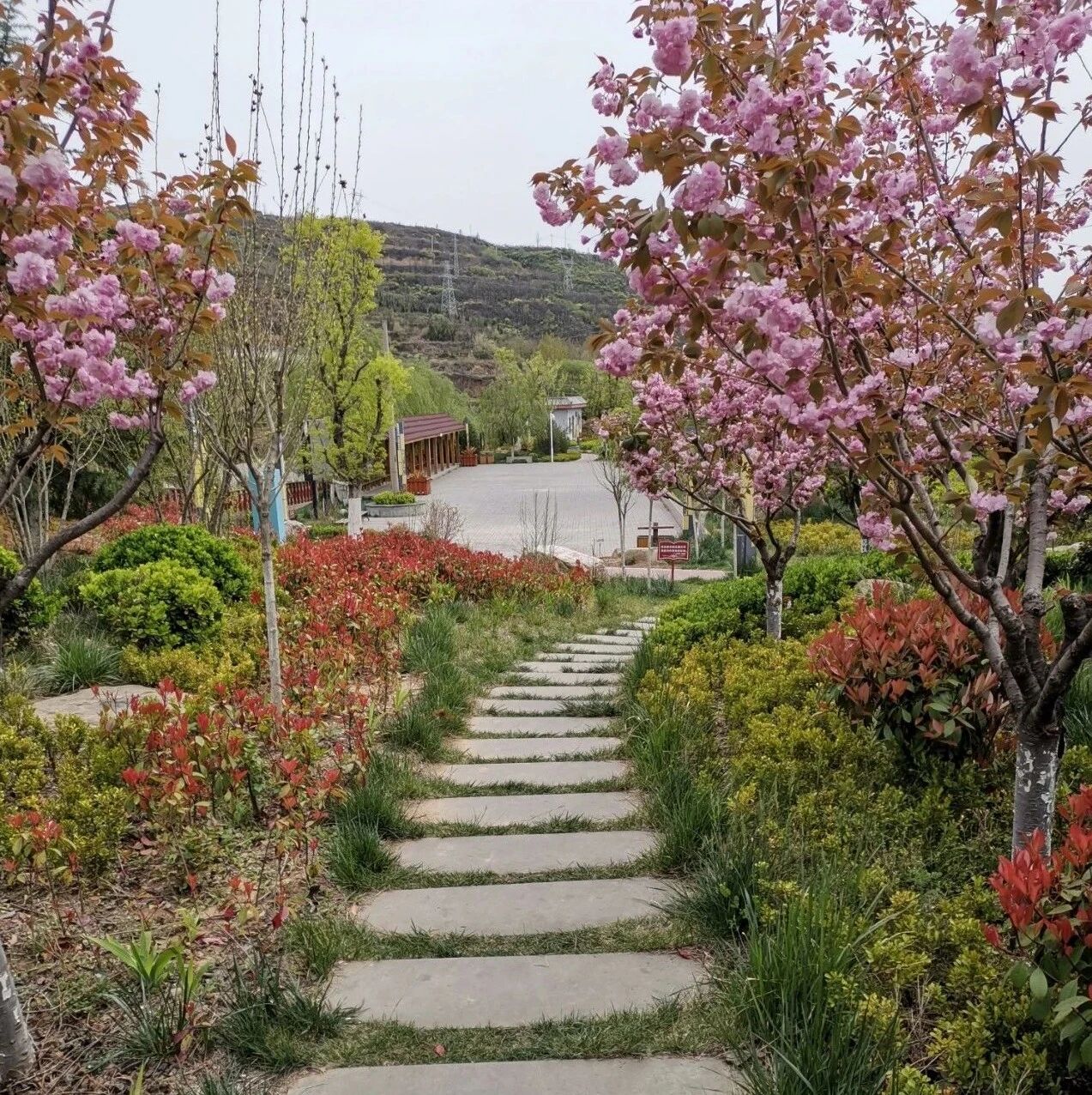 陕西铜川67:谷雨时节的王家河公园67