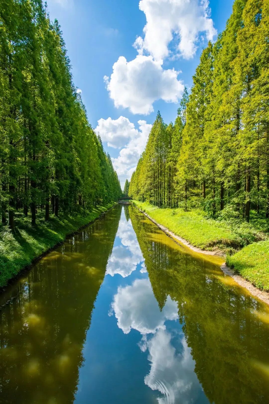 永裕户外重竹地板x黄海森林公园编织人与自然的和谐家园