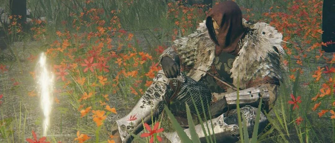 “老头环”教会我的：小心翼翼，在这个世界里活下去