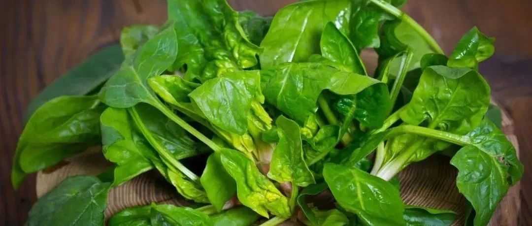 科研新发现|菠菜，不能让你变身大力水手，但可以预防结肠癌