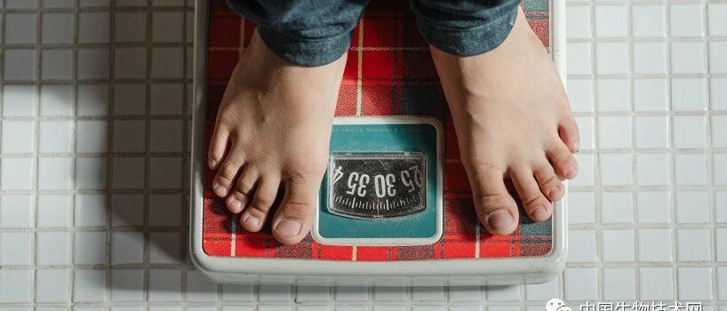 减肥不能减“瘦肉”！心血管顶刊：要优先减脂，才能降低糖尿病患者的心衰风险