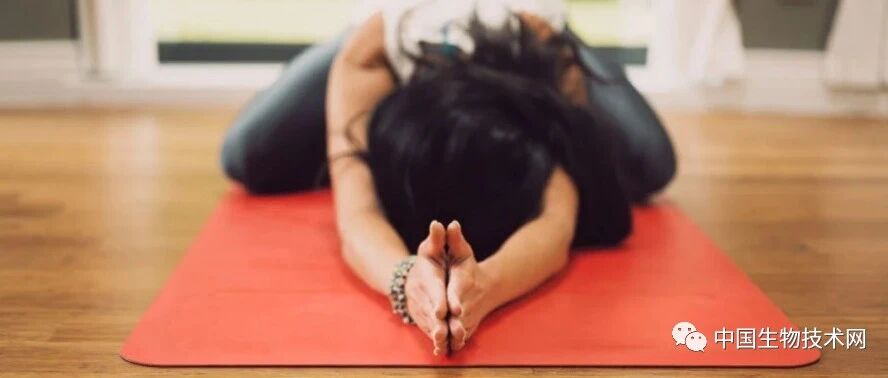 科研新新发现|降低血压，不要忽略更为有效的“伸展运动”...【营养发现】