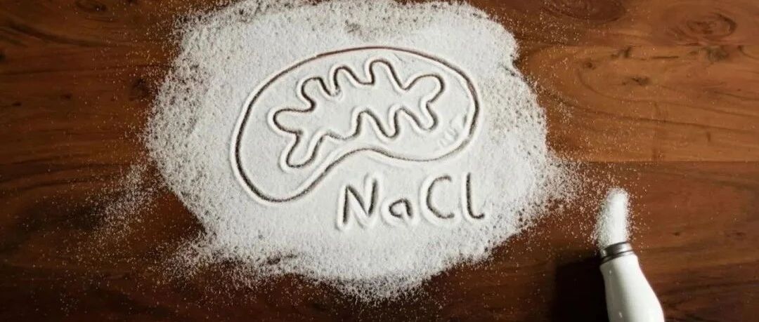 科研新发现|中国人需格外注意：吃得太咸，会损害免疫细胞，增加多种疾病风险