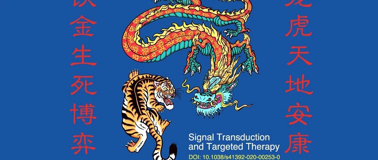 喜讯：铁金生死博弈——铁死亡研究又获重大突破