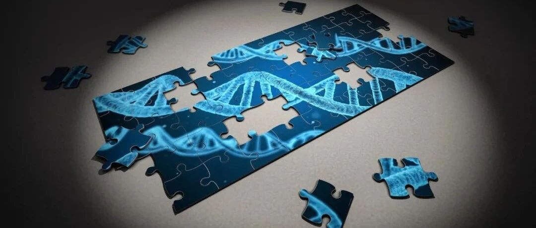 科研新发现|只需2个月，让人年轻3岁？通过饮食/运动/睡眠改变DNA甲基化，能够逆转衰老