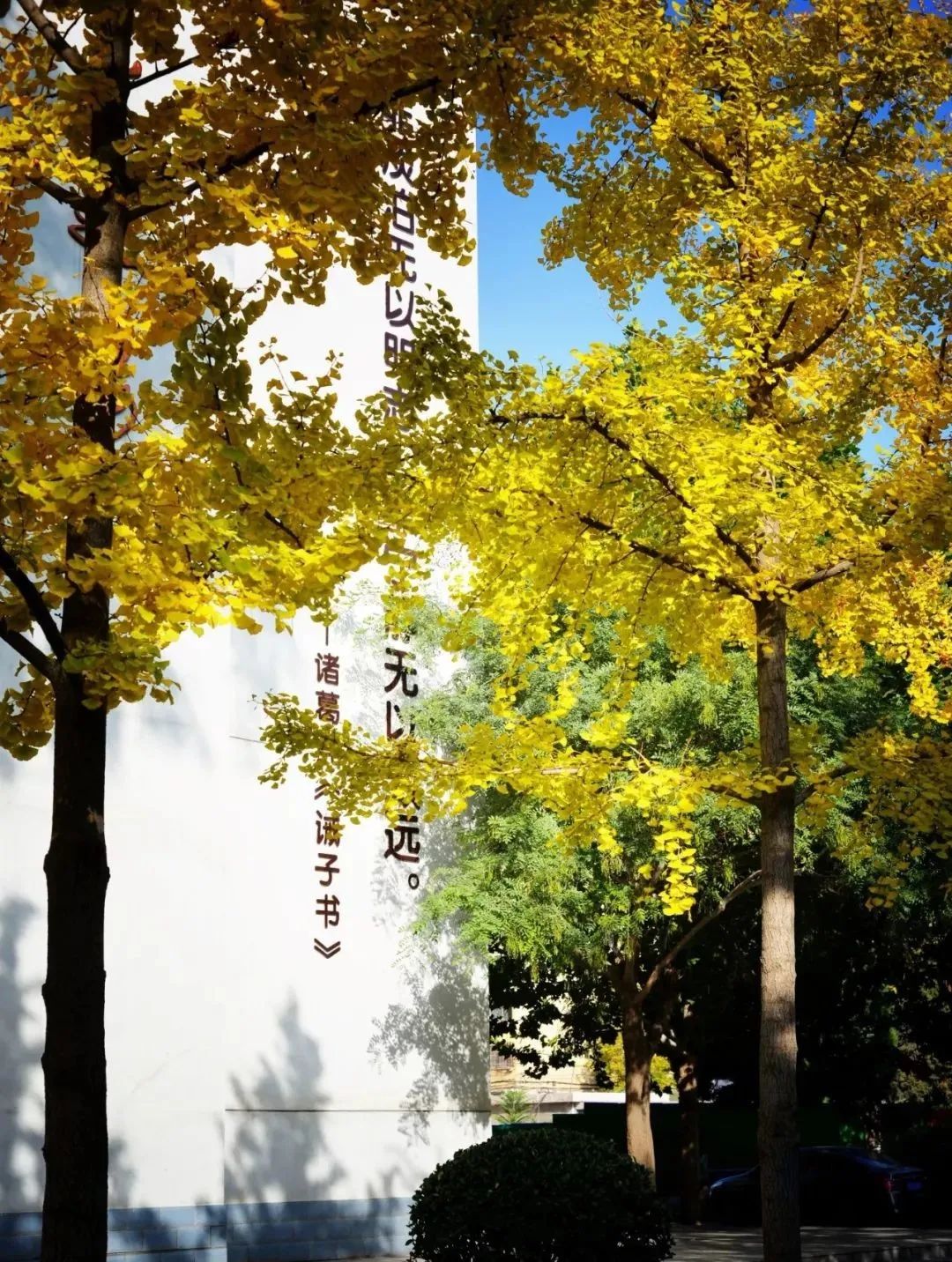 蘭州一中地址查詢_蘭州一中地址在哪里_蘭州一中地址