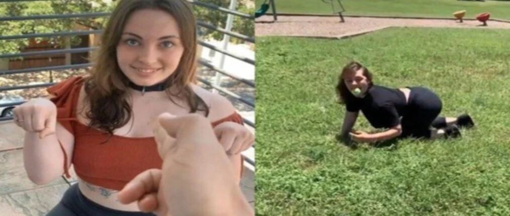 美女全职当狗月入百万，真·人不如狗