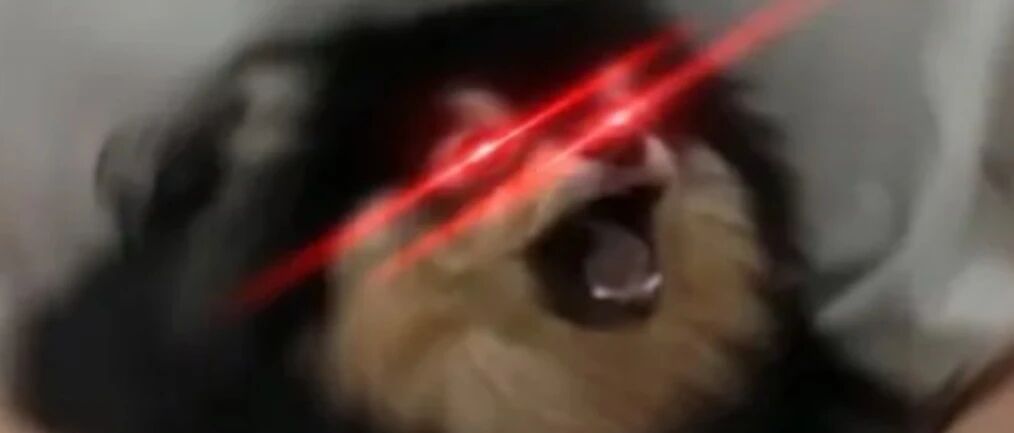 没结婚就要预支8万彩礼，这合适吗？