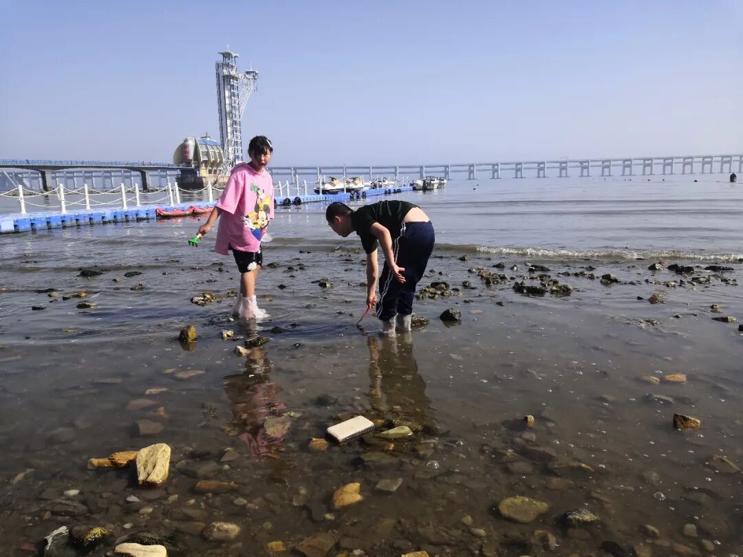 第一次来大连不知道怎么玩？看这篇攻略就够了