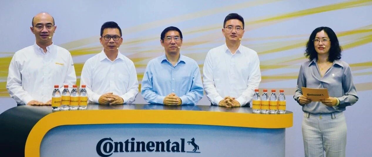 大陆集团变阵，该退的退该进的进