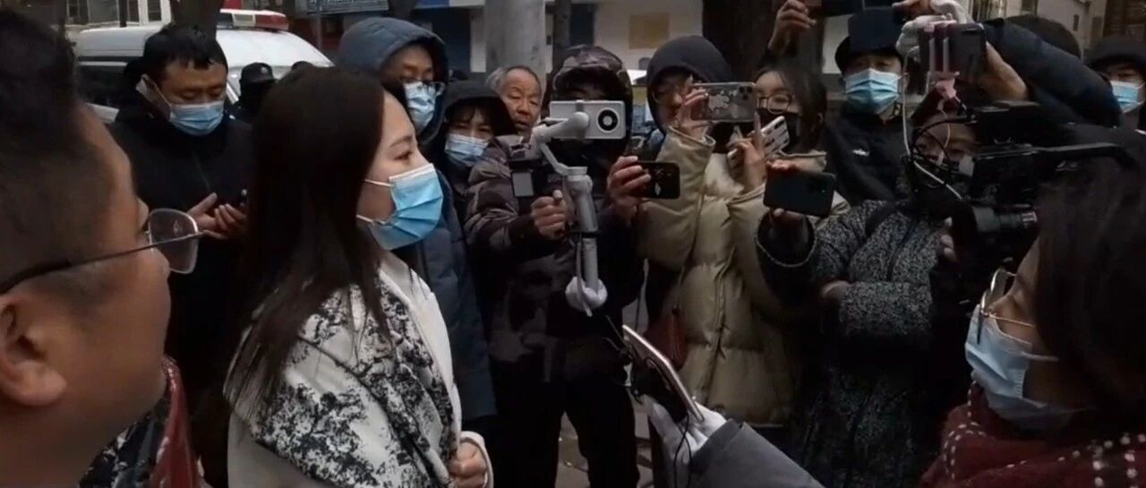 特斯拉维权女车主：我没那么极端，我只是觉得智商受到侮辱，我想讨个说法