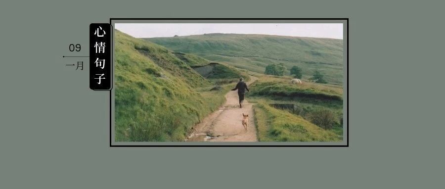 世界的模样，取决于你凝视它的目光