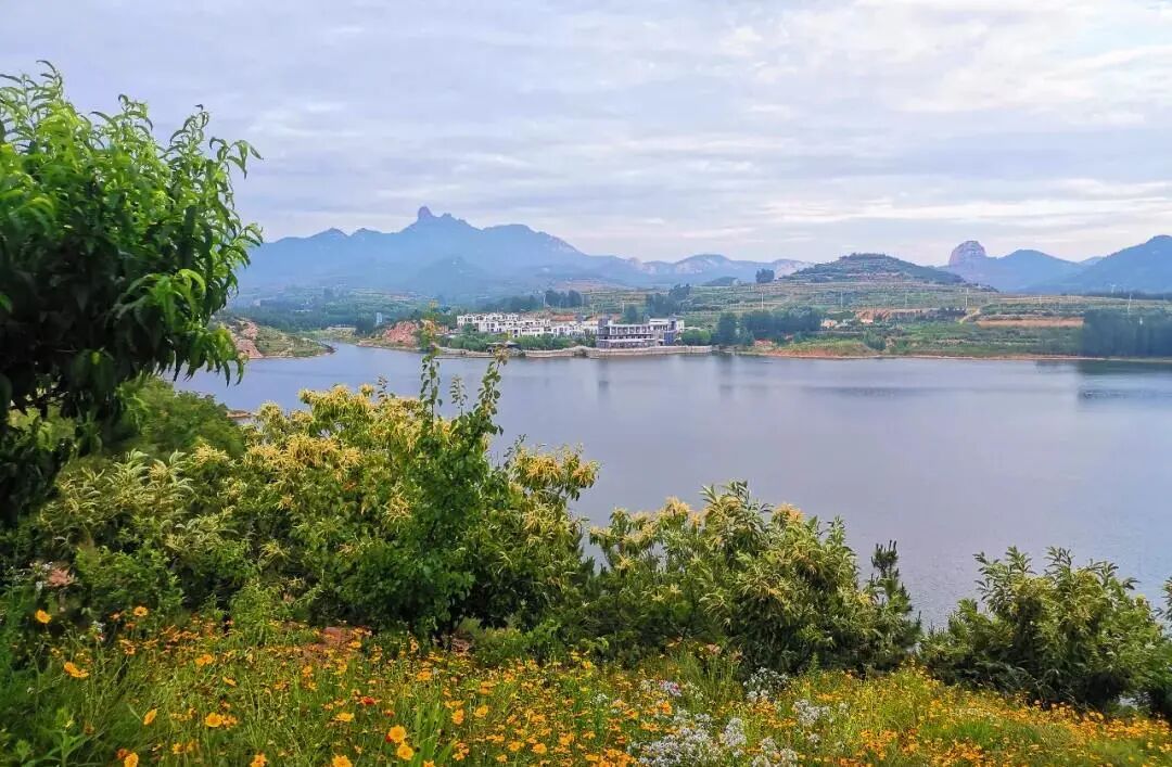 山东乡村旅游迎来发展新时机