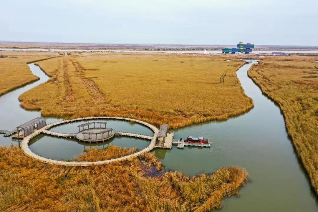 黄河入海口风景图片图片