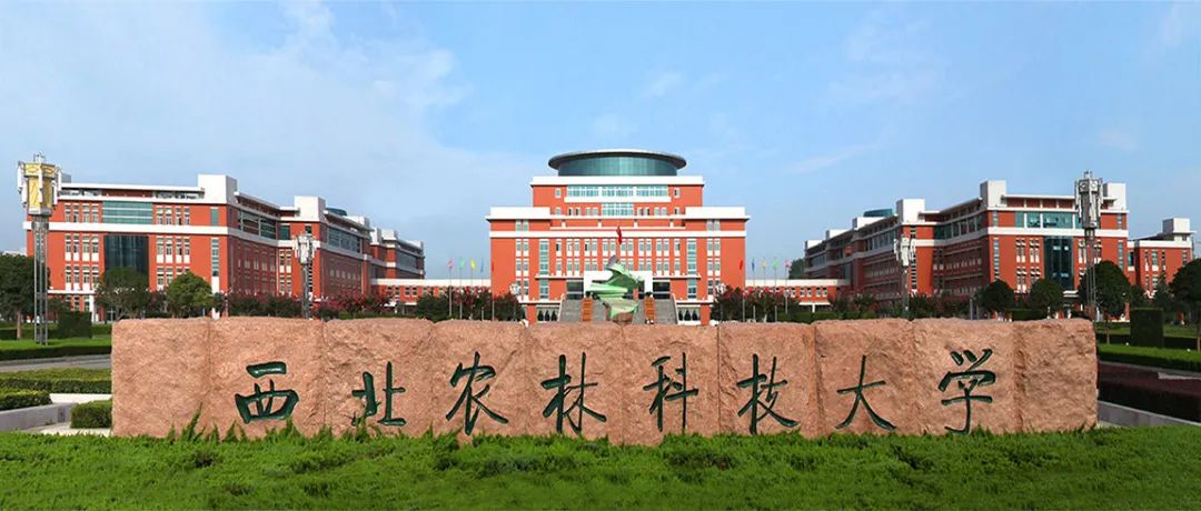 西北农林科技大学校门图片