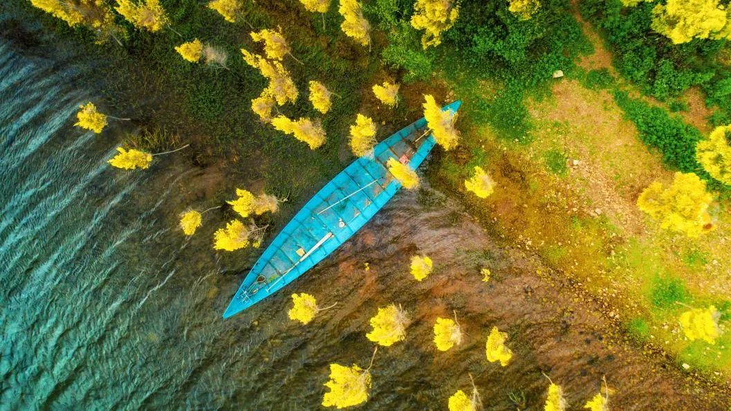 撫仙湖南岸網紅打卡點 進入昆明90分鐘生活圈 旅遊 第5張