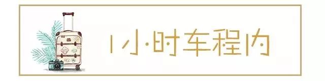 【關注】從昆明出發坐高鐵，一天玩遍N個城市，最快只要18分鐘！ 新聞 第5張