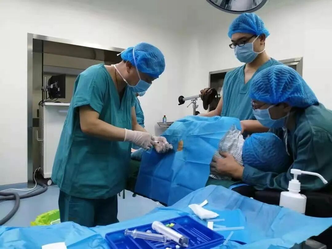 为什么要用麻醉穿刺包腰硬联合麻醉的“另类”注意事项，你知道吗？_https://www.jmylbn.com_新闻资讯_第4张