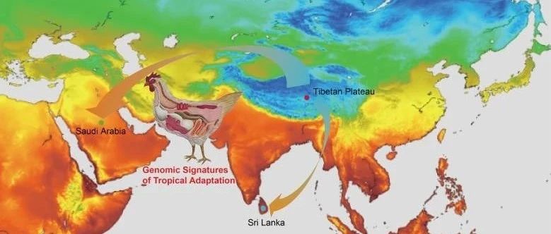微信公众号我们的生态学 Gh D5f79aeb90ae 最新文章 微信公众号文章阅读 Wemp