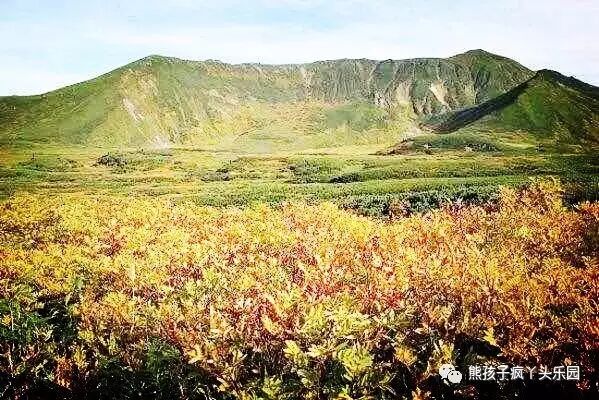 亲子时光 河南小脚丫文化传播有限公司