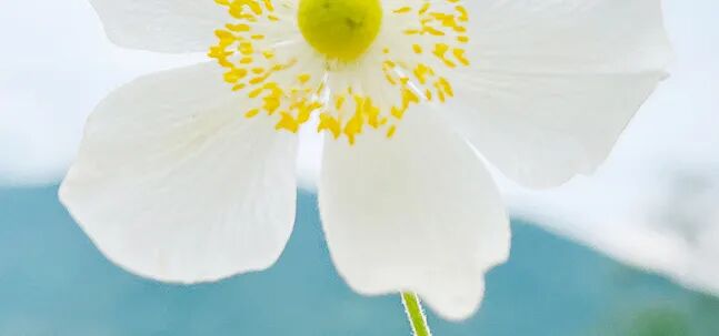 sp管在医学上什么管【有声叙事】特殊的SP病人_https://www.jmylbn.com_新闻资讯_第3张