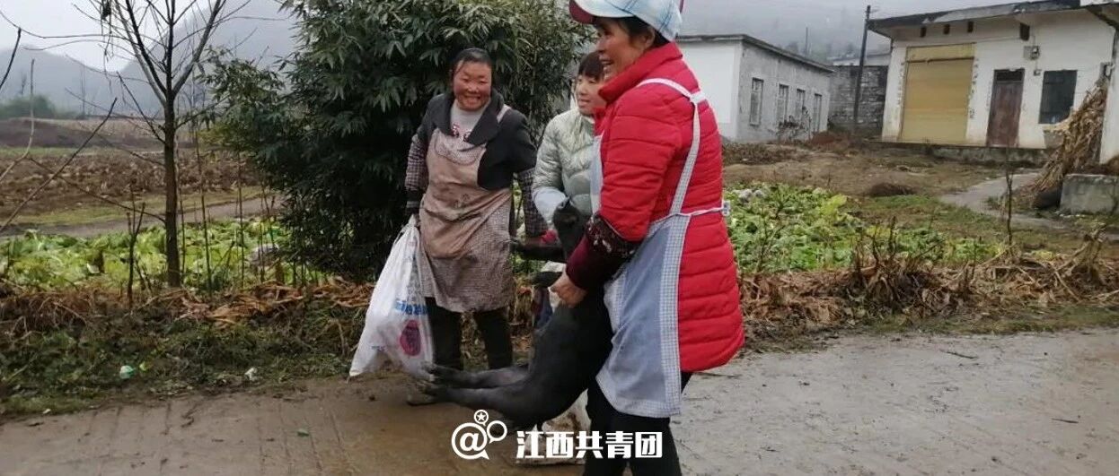 优秀学生奖励一头小猪！这个学校奖品亮了～网友：太实诚了！