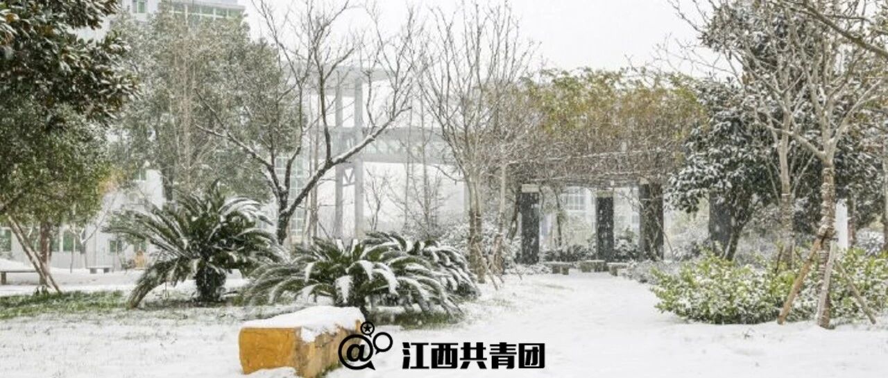 今年来最冷早晨！江西高校雪景大赏！接下来天气…
