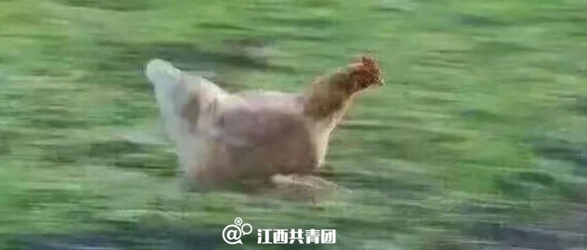 江西学校放假通知来了！