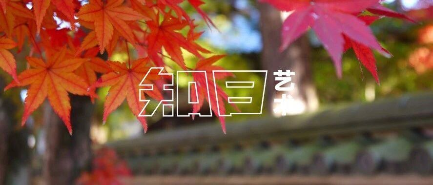 日本「七朝帝师」建造的庭园，究竟有多美？