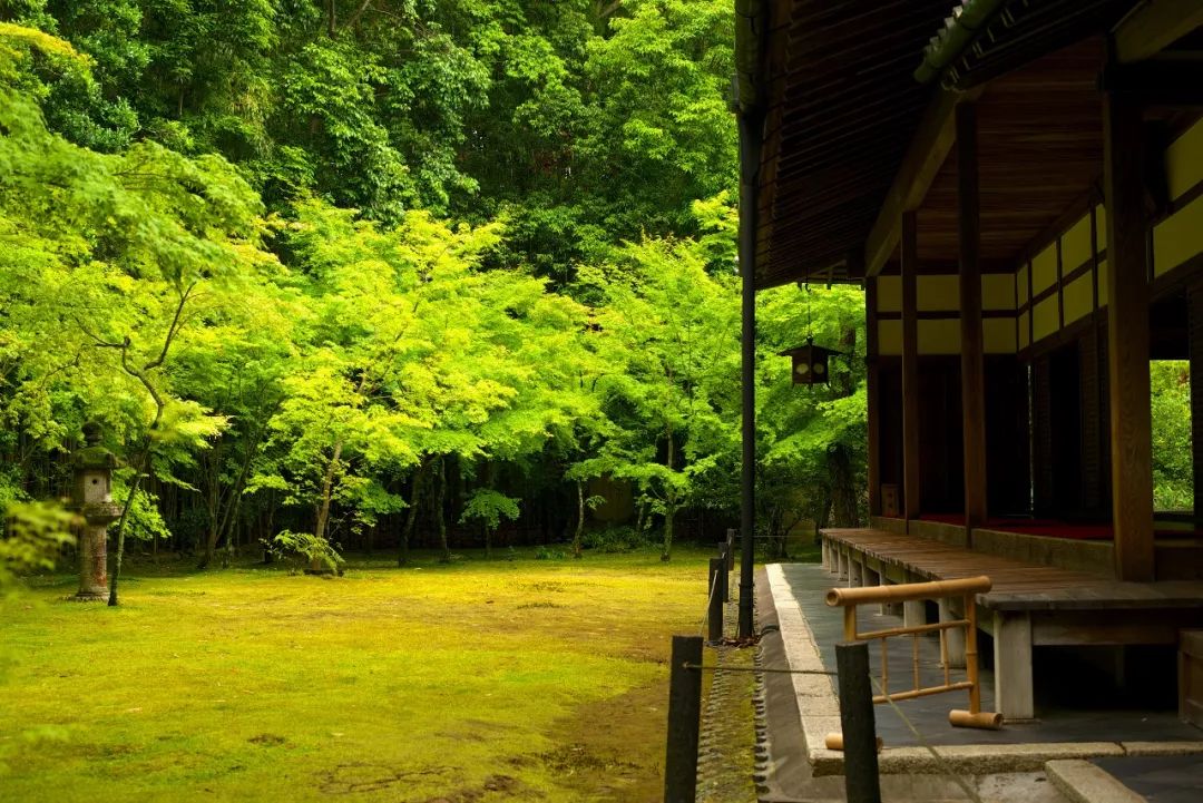 不去這些庭園 等於沒有來過京都 知日 微文庫