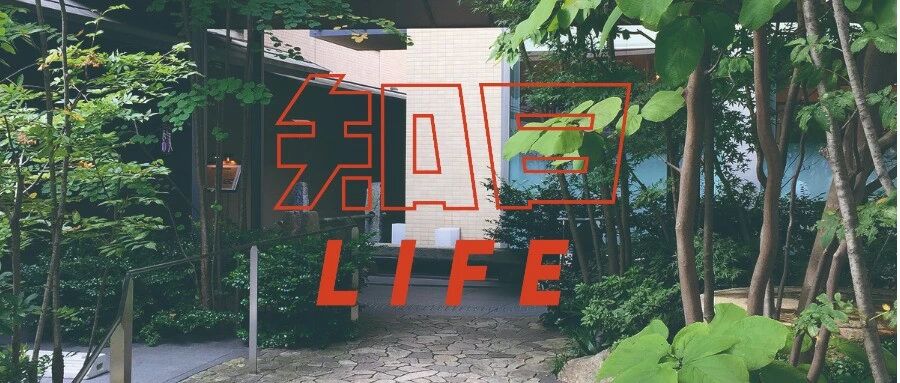 在满眼植物的庭园内醒来，想想就惬意