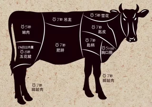 牛肉知识大全图解图片