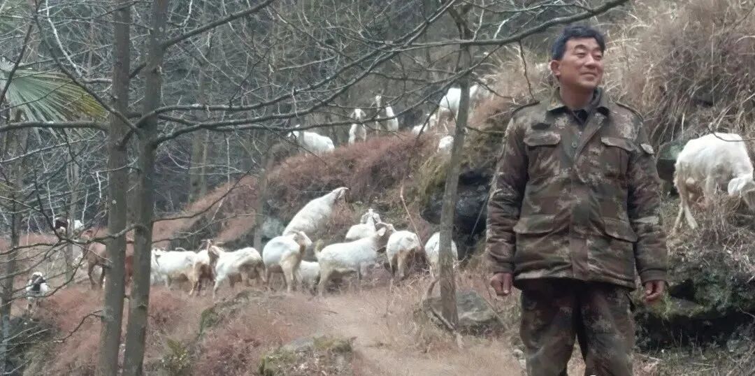 今年48岁的王镇是汉台区武乡镇吴庄村的励志脱贫致富明星.