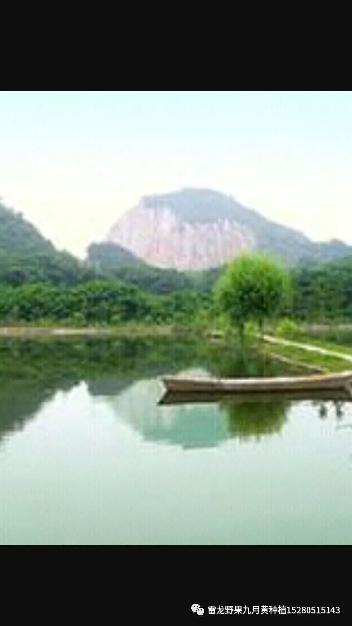 分享十种九月黄八月瓜种植模式