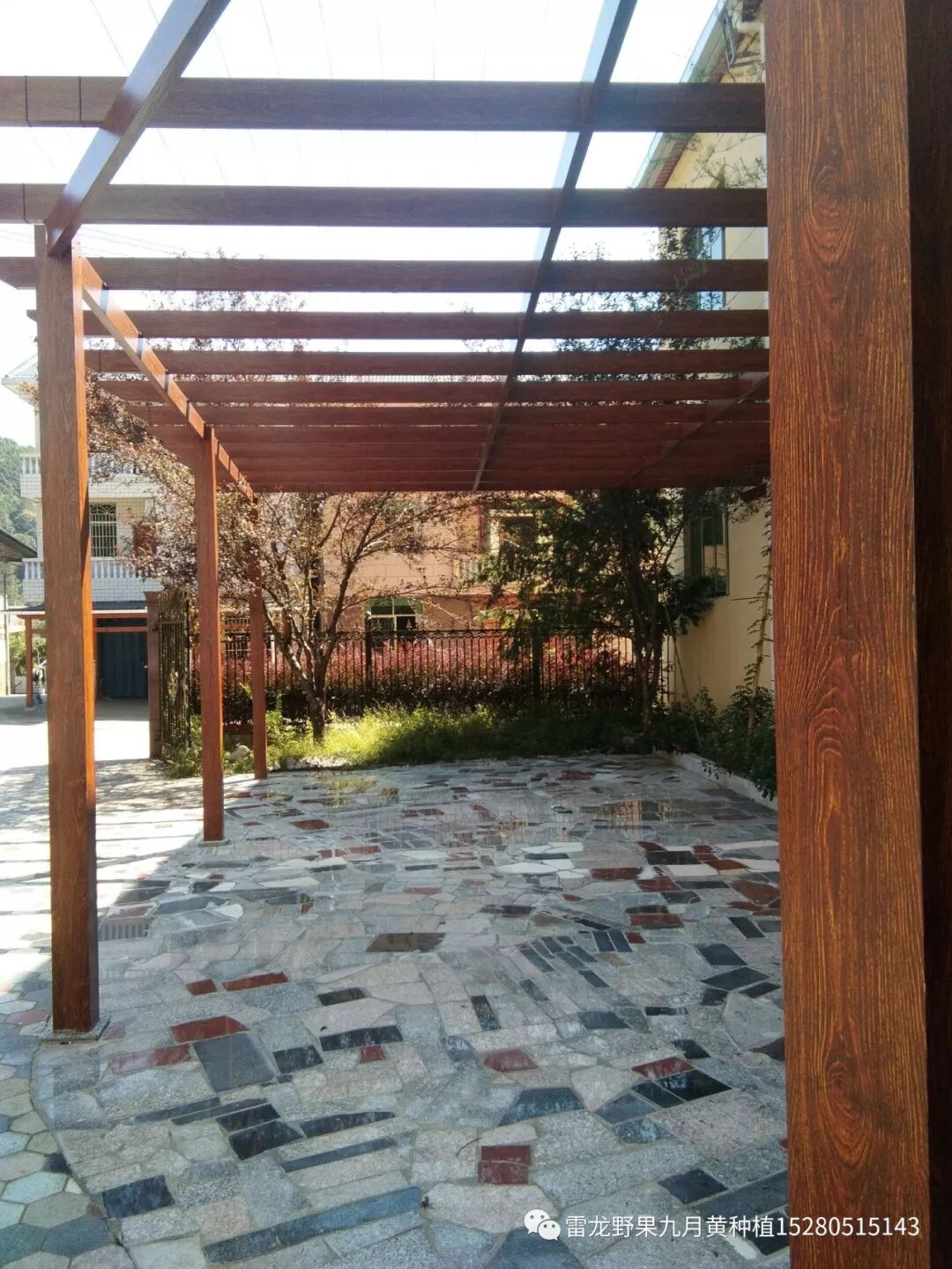 分享十种九月黄八月瓜种植模式