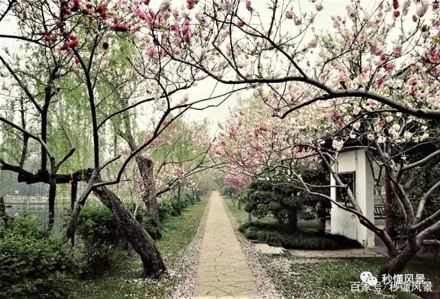 四月的无锡，带着大家一起，去看看范蠡西施水上园林的春天有多美