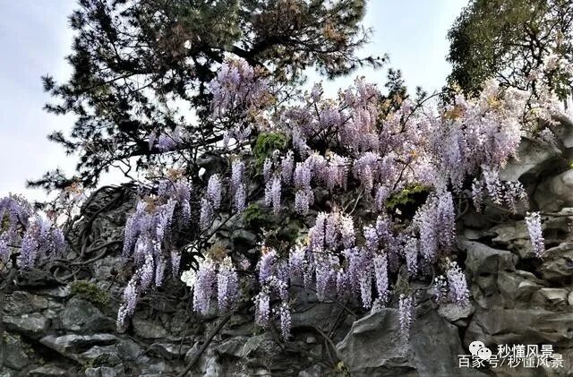 范蠡西施_范蠡与西施泛舟太湖_百家讲坛范蠡之西施之谜01