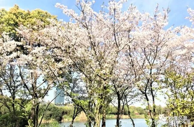 范蠡西施_范蠡与西施泛舟太湖_百家讲坛范蠡之西施之谜01