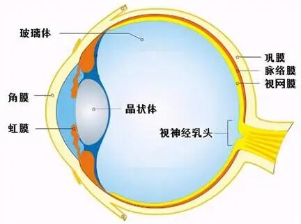 眼前节照相怎么照【全国爱眼日】眼底一张照，眼病早知道_https://www.jmylbn.com_新闻资讯_第2张