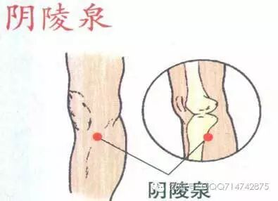 古法经络|血脂高，这2个穴位就是天然降脂药，每天按一按，既排